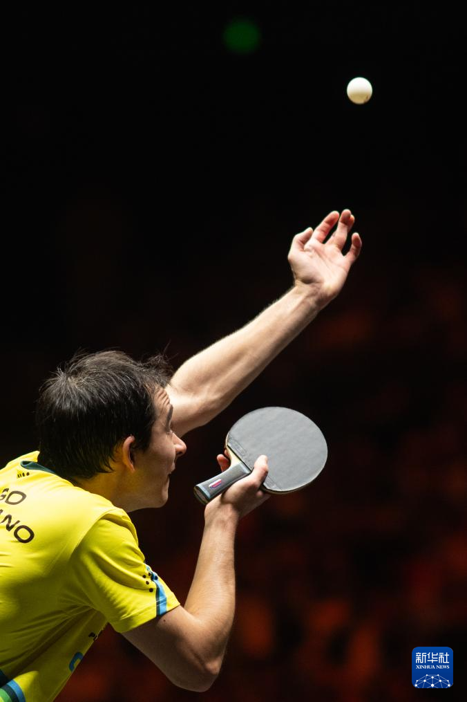 霍华德在2 霍华德在2