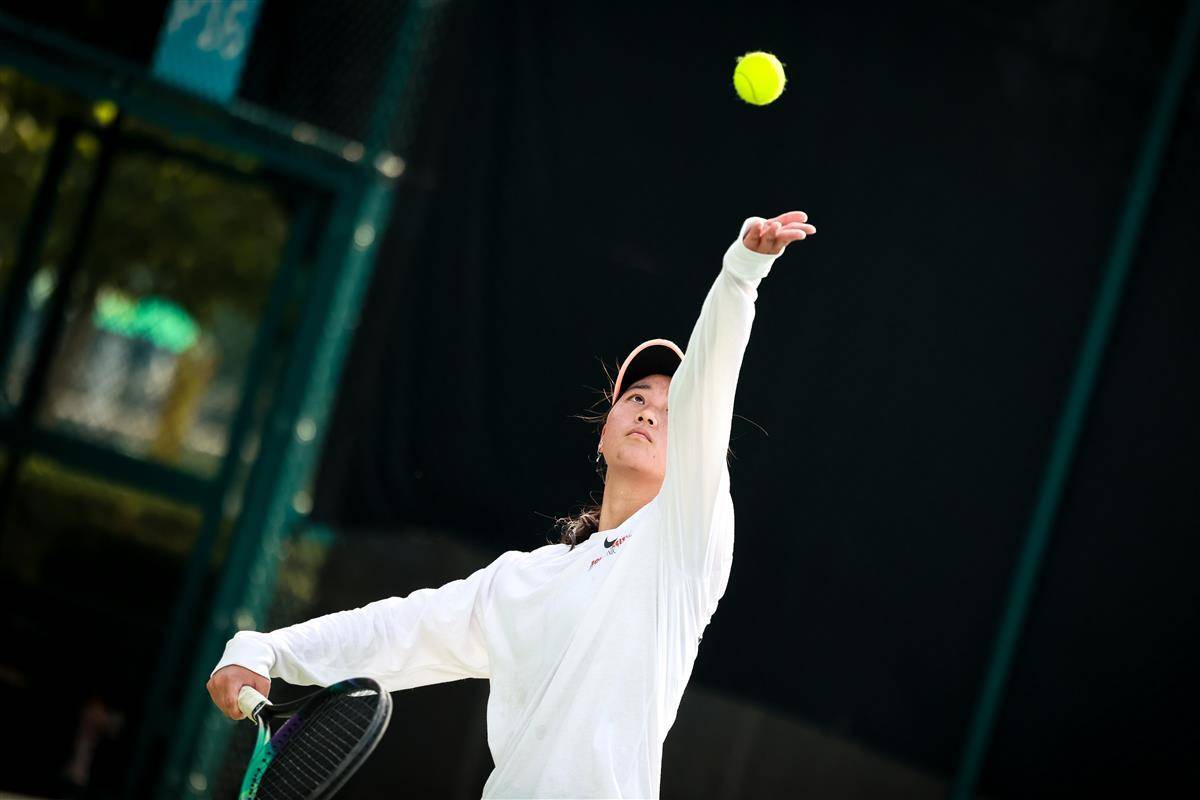 以及丰富的 以及丰富的